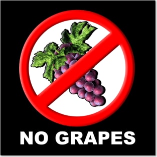 No Grapes. Posters and Art
